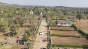 img (1)