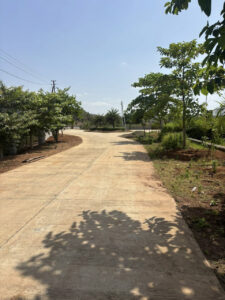 img (26)