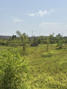 img (28)