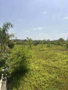 img (31)